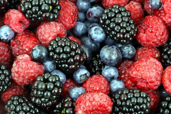 World's Best Import Markets for Raspberry, Blackberry, Blueberry, and Cranberry